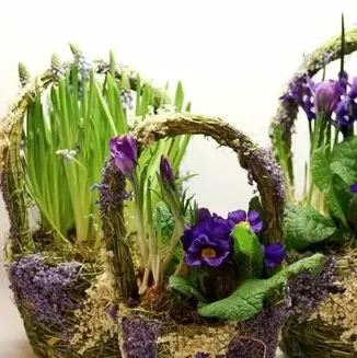 Корзинка с луковичными первоцветами S (примула, ирис, мускарии) 28392