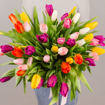 Тюльпаны 51 шт. МИКС 7336