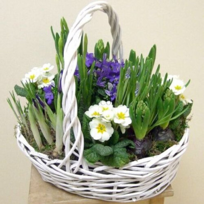 Корзинка с луковичными первоцветами L (примула, гиацинты, мускарии, ирисы) 28393