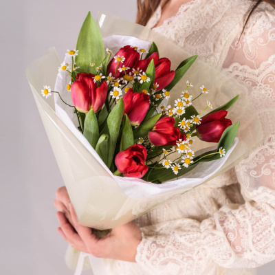 Букет из 7 красных тюльпанов с ромашками 59873
