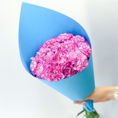 Букет из диантусов 47542